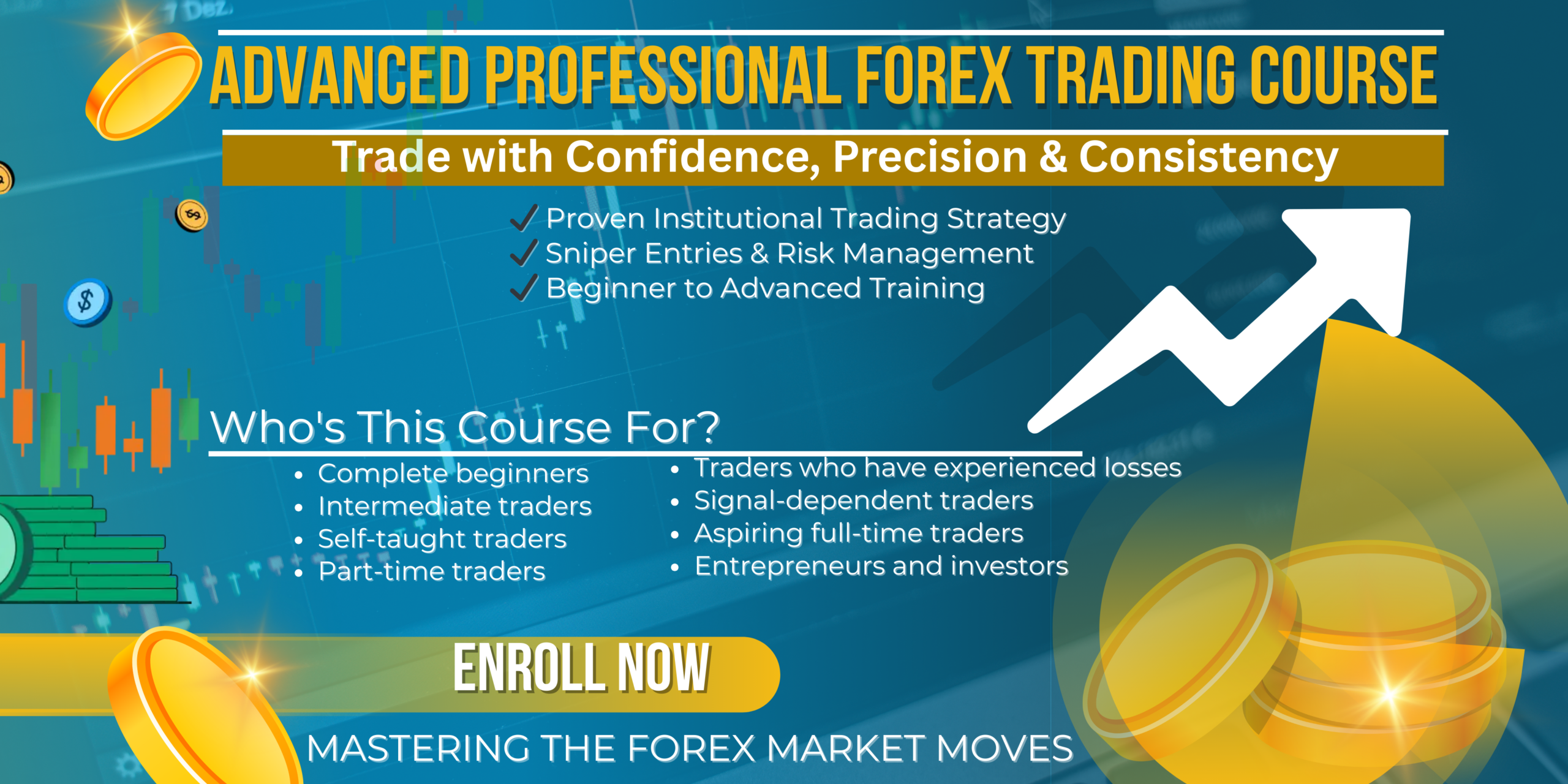 Advanced Proffessional Forex Trading Course